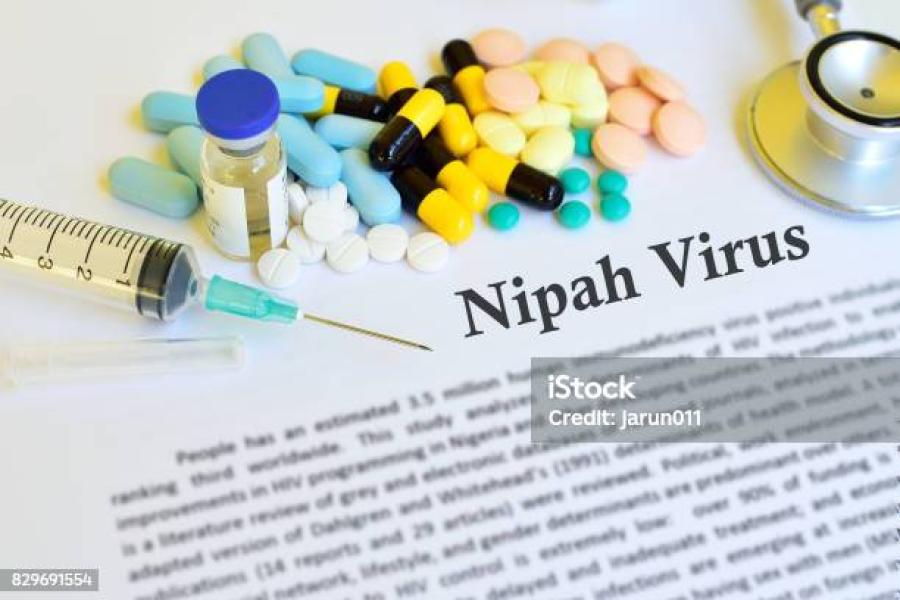 Apa itu Virus Nipah? Waspada dan Kurangi Risiko Penularannya dengan  Langkah Ini! 